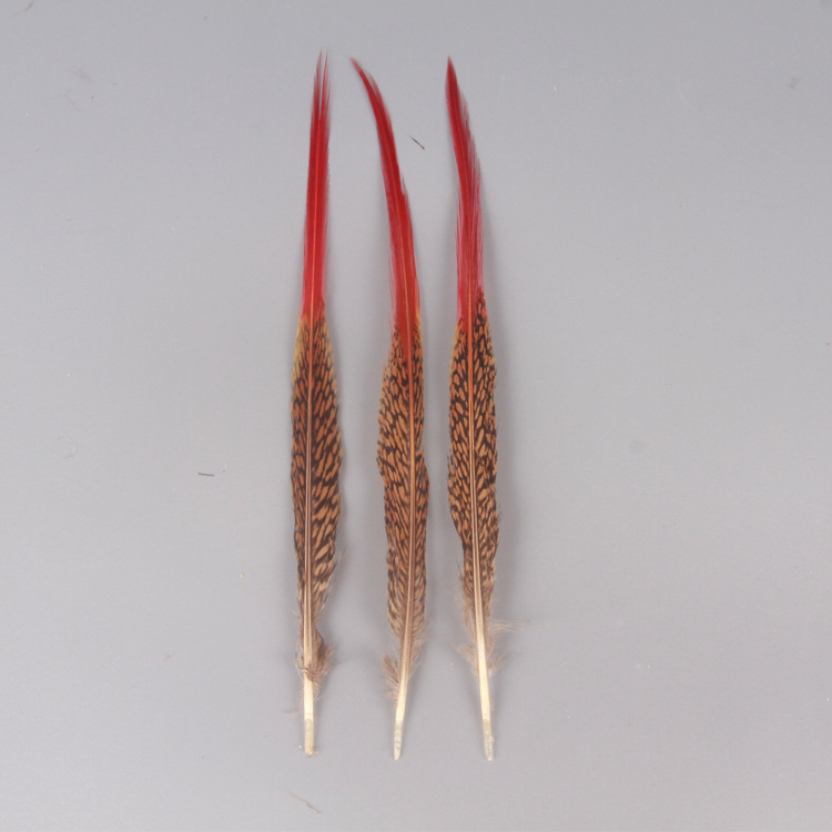 Fábrica al por mayor de bricolaje plumas pequeñas plumas naturales plumas de pollo salvaje plumas de pato jardín de infantes joyas hechas a mano gato divertido material de captura de sueños