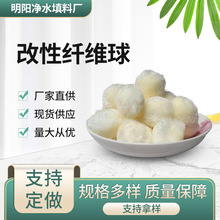 �S�ҹ��������w�S�� ������͞V�� �~��ˮ̎���^�V����������