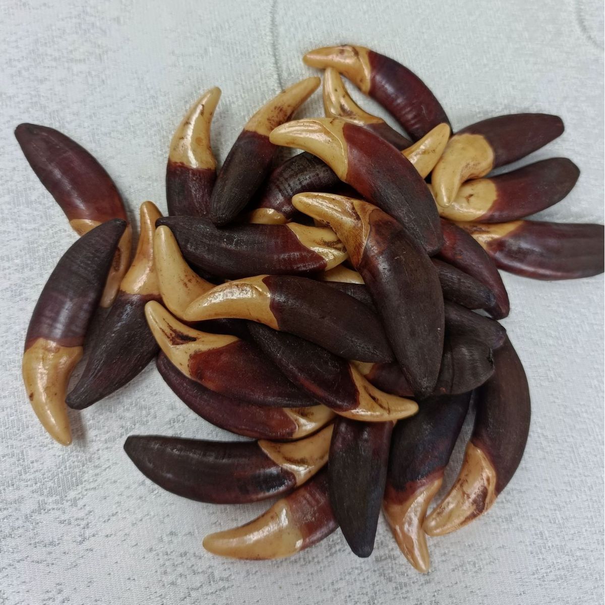 진짜 개 이빨 장신구, 늑대 이빨 펜던트, 빈티지 검은 개 이빨, 표백된 티베트 마스티프 이빨, 도매 목걸이, 팔찌, 노점상 공급품