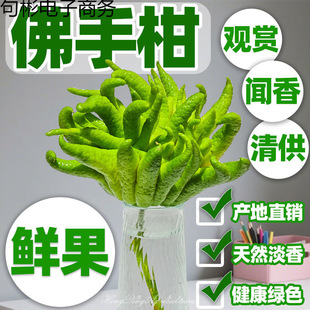 ���ָ��r�����r����ֹ��^�pʳ���㎧֦ˮ���㙴���k���Ҕ[��