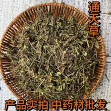 ��ș����؛ͨ��� ݩ�j������������ݩ�j�� ��ș��ɢ�b���l