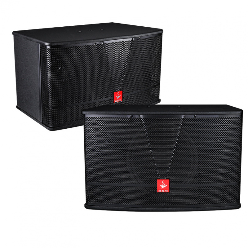 Audio al por mayor de 8 pulgadas 10 pulgadas caja de altavoces sala de conferencias equipos de sonido casero karaoke pasivo caja de altavoces