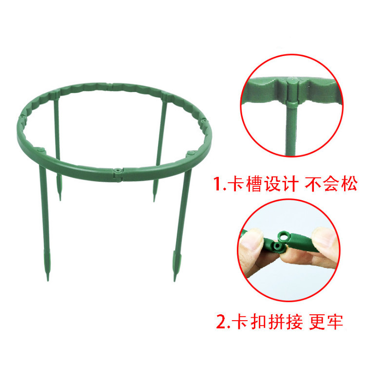 蟹爪兰支架4_副本