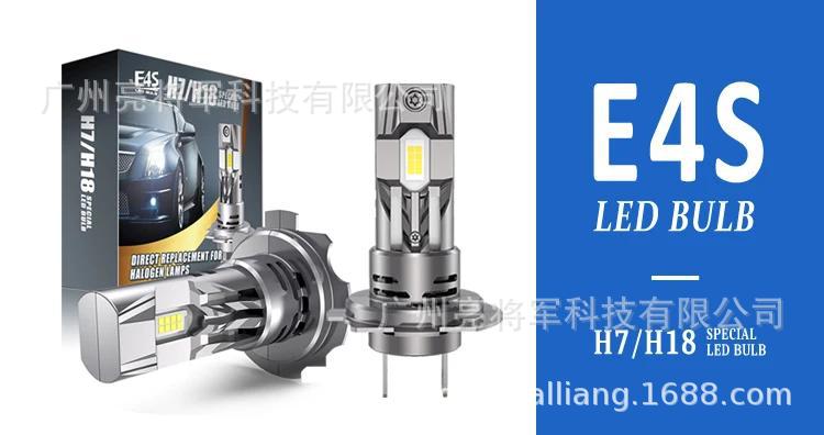 WPS图片编辑-19.jpg