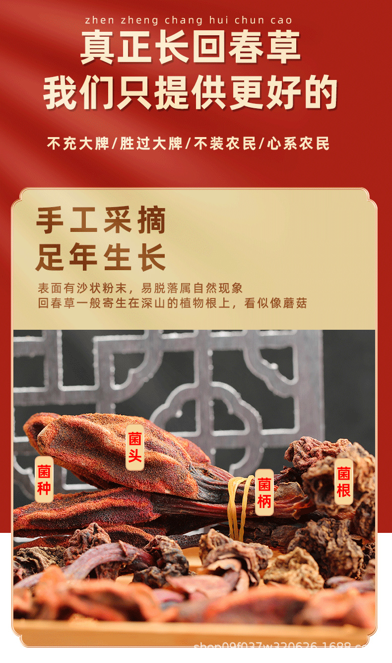 Hui Chun Cao Dried Herb 500g Yunnan Highland Huichuncao Whole Herb for Herbal Wine Infusion key features