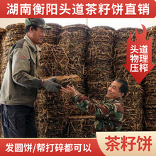 �r��100�����퉺ե��������۲����������s�~����ЙC�����rз