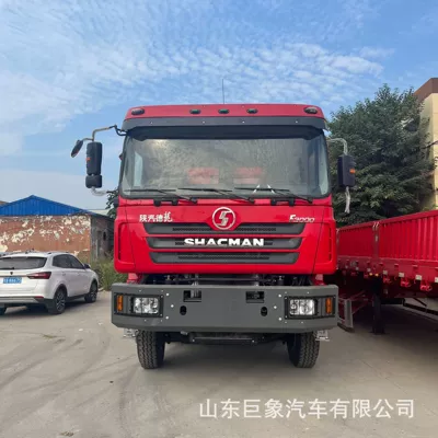Cross-border export of Shaanxi Auto DeLong F3000 Yük maşınları