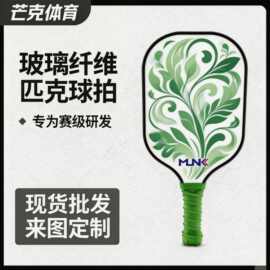 源头工厂玻璃纤维匹克球拍 专业攻防一体训练拍 现货秒发