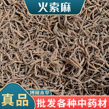 �x���ݻ�������ș�����l���������������l���l����ă�