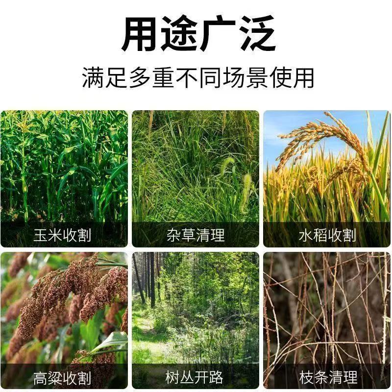 微信图片_20250906095123_72_33.jpg