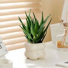 JCk҃ȿ͏dXBGֲԷݗ՚