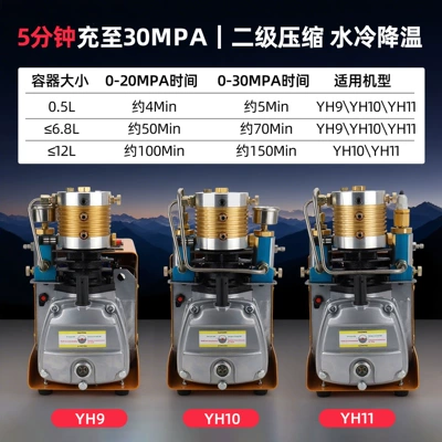 Hava kompressorları: High-Pressure Air Pump 40Mpa