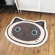 ��ͨС؈Ę����q�؉|����ԡ���l���g��ˮ�_�|�������K����T�|