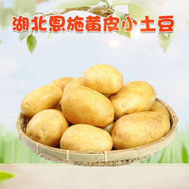 湖北恩施黄皮小土豆 3斤农家自种新鲜蔬菜粉面土豆马铃薯