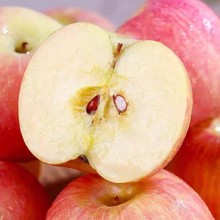 山西红富士苹果产地直发【膜袋纸袋】苹果包邮水果苹果一件代发