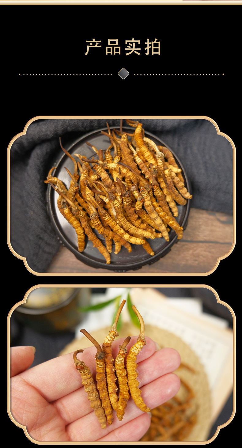 Premium Cordyceps Sinensis Gift Box Dried Tibetan Cordyceps for Traditional Herbal Soup quality and texture
