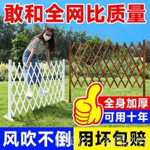 ټСԺľsͥԺh̨boږřڑ⻨@