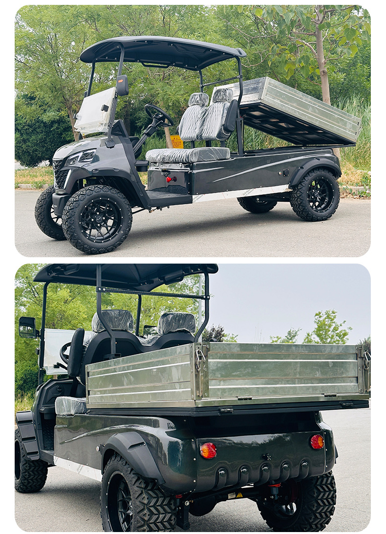2-Seater Electric Golf Cart, 4-Wheel Golf Cart with Bucket, Electric Sightseeing Vehicle for Tourist Areas