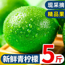 青檸檬四川安岳1斤新鮮水果包郵精選皮薄一級泡水奶茶鮮檸檬特產5