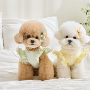 New Pet Clothes Bichon Pomeranian Teddy Base Shirt Cat T-Shirt Top Set with Headwear Hair Clip