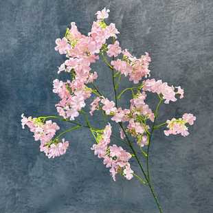 ��������滨�ҾӾƵ��b�С�黨��Y�������ÿ羳�ٻ��[�����l