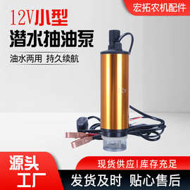 批发12V电动抽油泵抽水泵车载式小型柴油加油泵自吸潜水泵油抽子