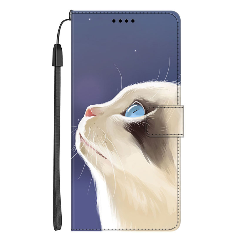 Suitable for millet 13 mobile phone leather case magnetic card creative colorful painting manufacturers a wholesale colorful pattern