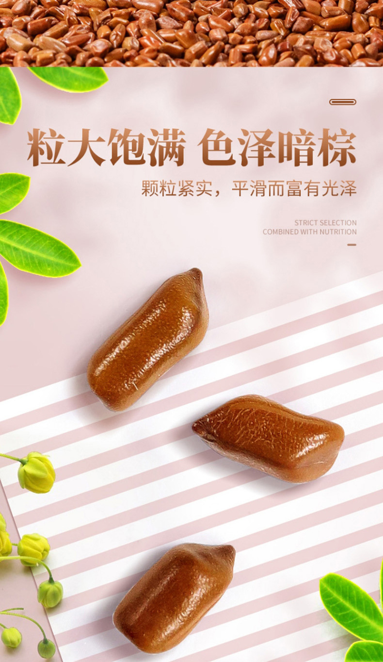 Cassia Seed Jue Ming Zi 100g Bottle Dried Cassia Seeds for Herbal Tea and Decoction quality and texture