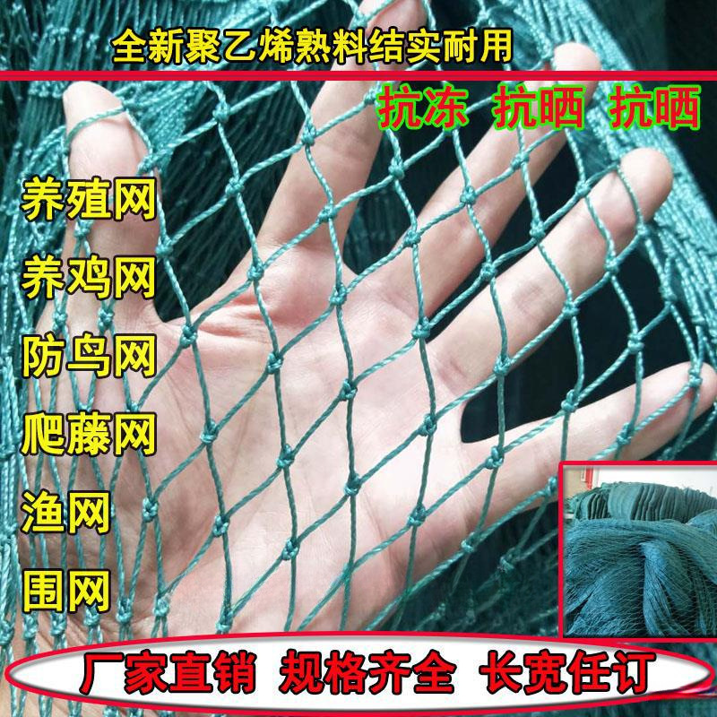 养鸡网家禽养殖网拦鸡鸭网防鸟网爬藤网菜园围网果园网护栏网天网