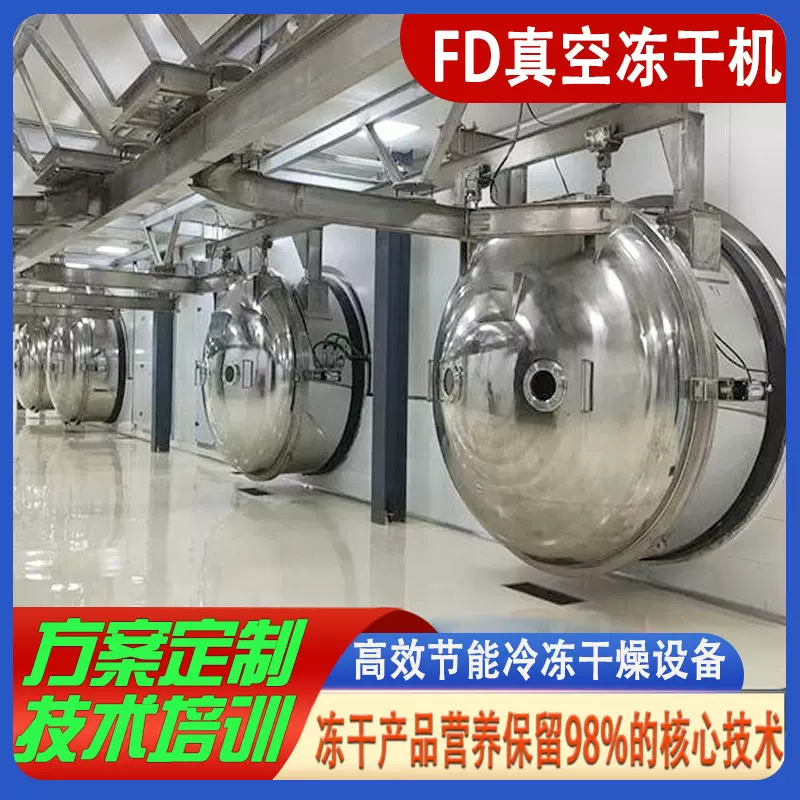 商用100平果蔬真空冻干机 宠物食品冻干生产线方案解决冷冻干燥机