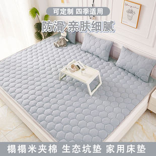 New Tatami Mattress, Mattress, Floor Mat, Soft, Thickened, Non-Slip, Foldable, Customizable, Cross-Border