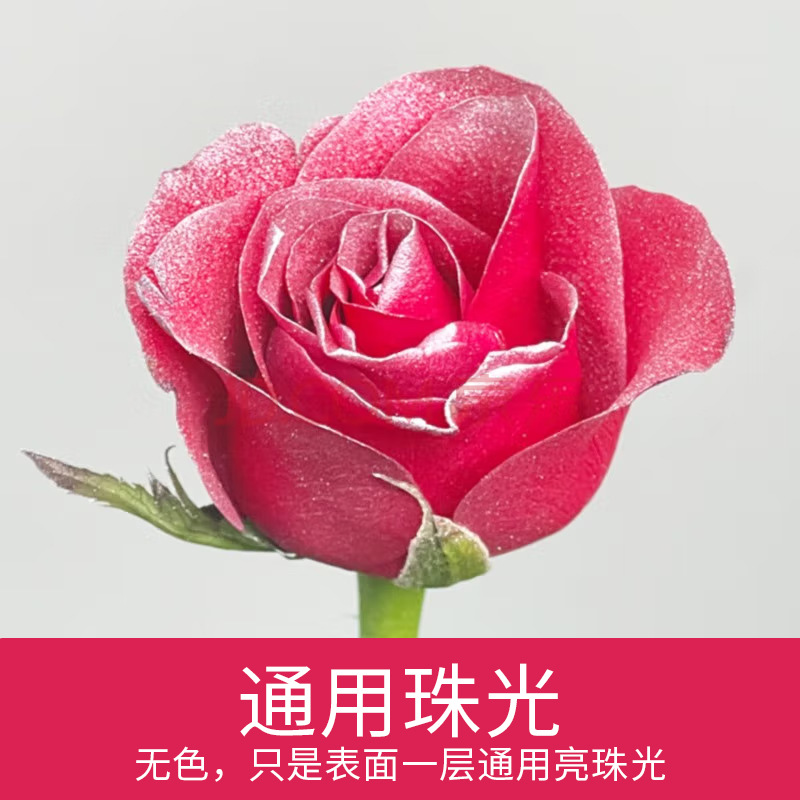 Material de embalaje de flores frescas Agente de tinción en aerosol de flores secas Salsa de ciruela negra Pintura en aerosol de flores Pintura en aerosol de flores Agente de color de flores