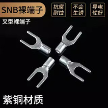 SNB���~�����U��Y��������� �Ӿ������䉺�����~������