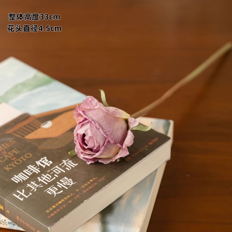 파리 앙고라 싱글 헤드 로즈 퍼플 1개