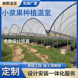 温室、大棚;农林牧渔项目;园艺工具
