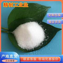 99含量国标工业细盐 山东工业用精制盐 工业级精制工业盐厂家