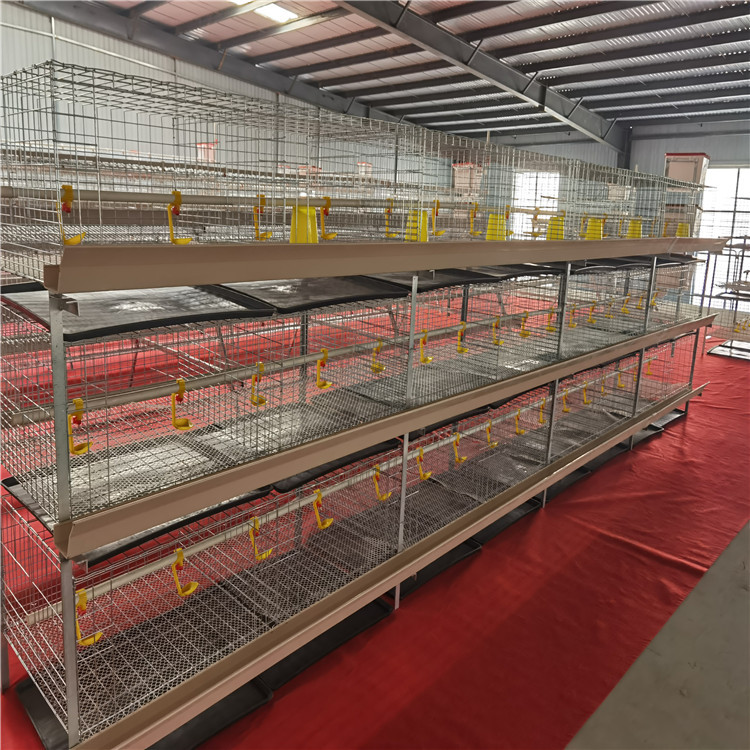 肉鸡笼组连白槽2