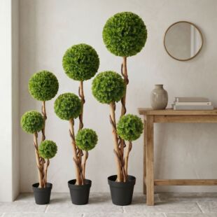 ���������mһ�U�����������Gֲ���Կ͏d������m�٘�[���b�