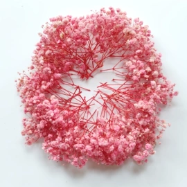 鲜花花艺制品;干花;永生花