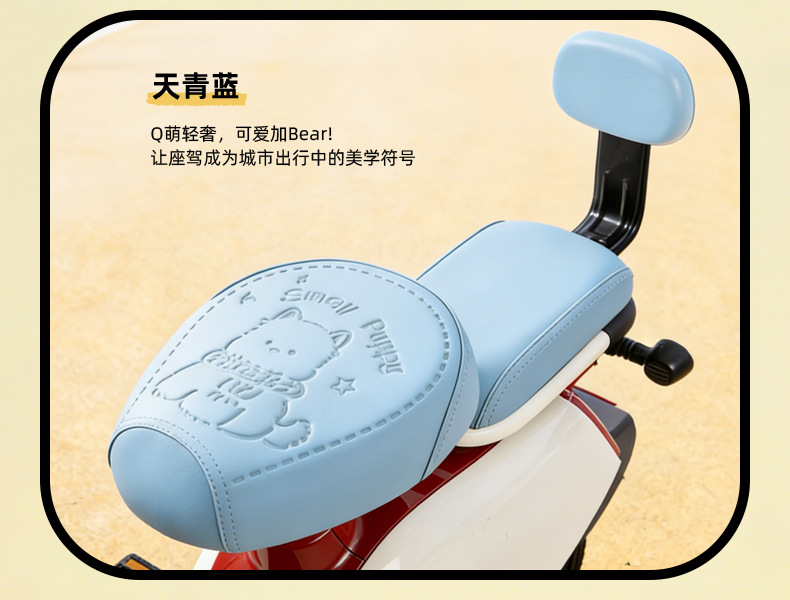 Simple Style Electric Vehicle Seat Cover, Waterproof and Sun-Proof, Suitable for Small Electric Bikes, Compatible with Yadea, Tailg, and Aima