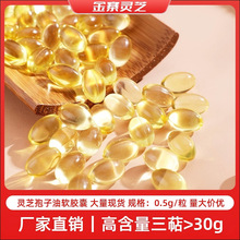 厂家直销灵芝孢子油0.5g/粒高三萜含量>30g灵芝孢子油软胶囊散装