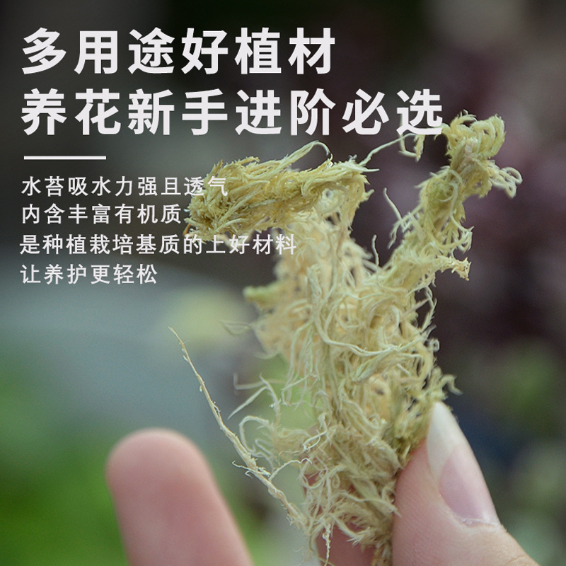 乾いたコケの水のコケの苔の蝶の蘭の多肉の石のgokの栄養の土の育苗は食虫のカメの冬眠のクッションを接ぎ木します。