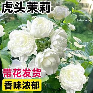���^�������Ի����҃ȿ͏d�ذ��Ϙ�����d�ӻ��������ļ����Bֲ��