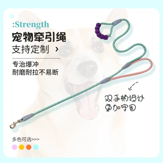 跨境新款狗狗牵引绳创意拼色双拉手反光P绳防爆冲宠物遛狗绳狗链