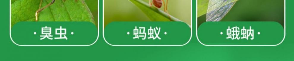 7fca062c-843d-4d2e-bfe4-5ba4d2a063d1.jpe