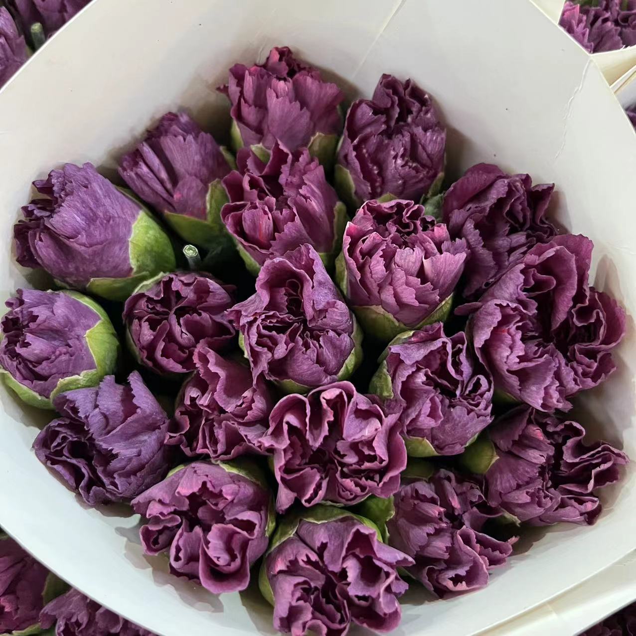 微信图片_20230213200211