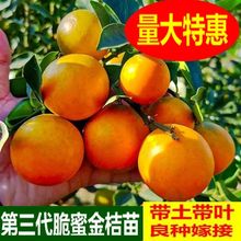 �ڰ����۴�Ƥ��̻�Ƥ�����޽�����X���������Ә��箔��Y��