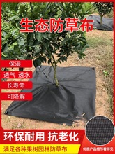 除抗老化盖草布除草打孔布防草布草地果园农用加厚透水地膜透气布