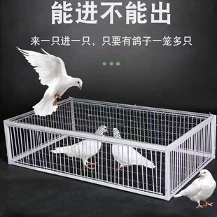 �������ӻ\�u�\���ӻ\؈�\С�̈́�����ײ�\���M�o�����Ԯa���N��U0
