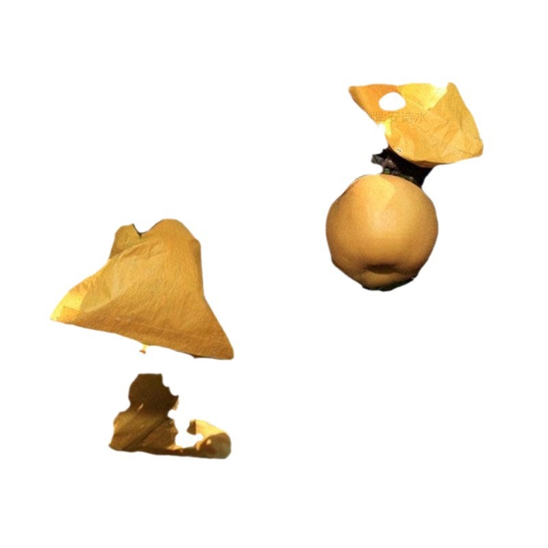 carousel-thumb-4